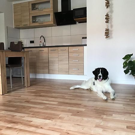 Apartmany A&Z Hořice na Šumavě 外观 照片